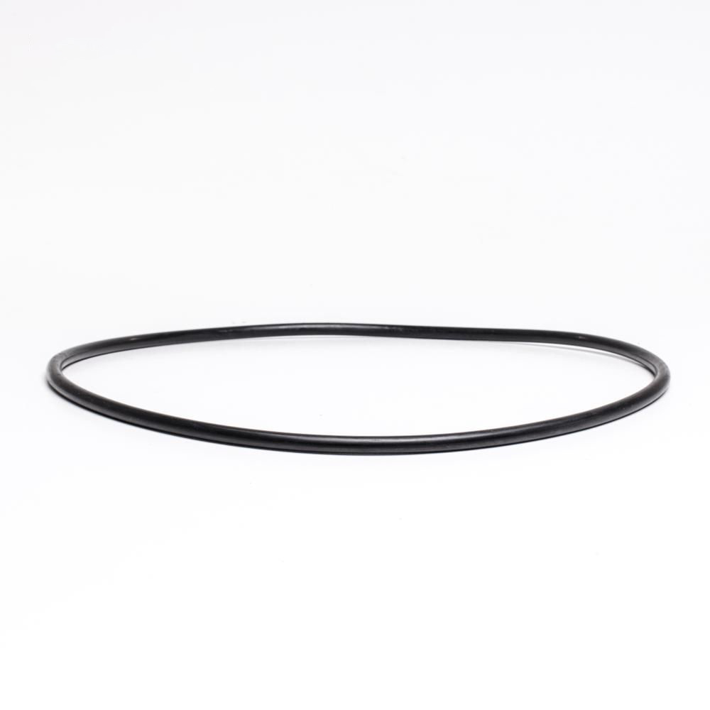 49-421108-welldana0-pool_udstyr-oring_t_forfilter_8l_d266_7mm_1 O-ring t/ forfilter 4L øD215 6mm
