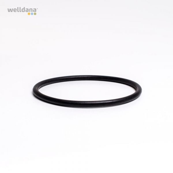 O-ring til klorinator låg 44x3