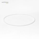O-Ring f. filter lid 8" PPG filter Delux