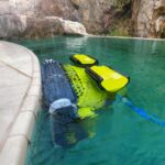 DOLPHIN SUPREME M5 BIO PVC - Image 4